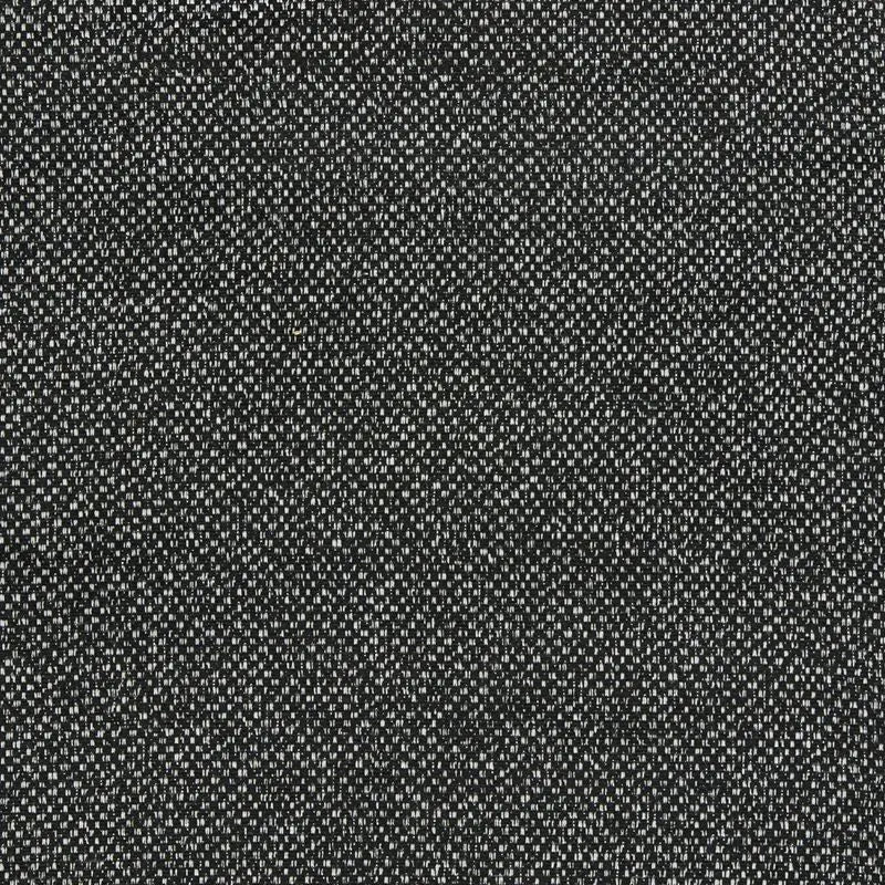 Clarke and Clarke Fabric F1421-2 Filum Ebony