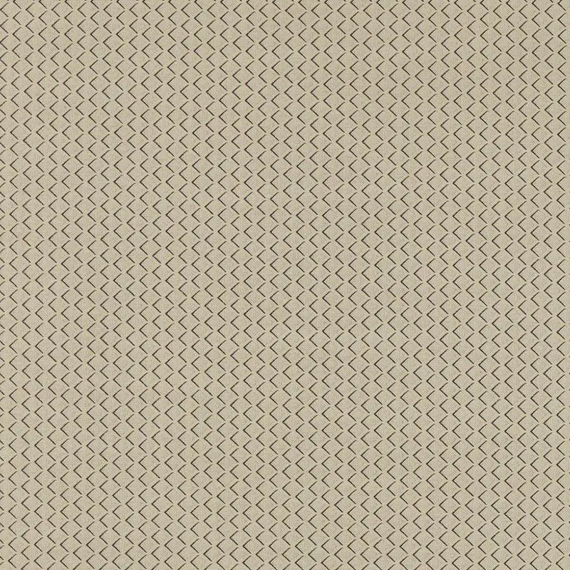 Clarke and Clarke Fabric F1618-3 Equator Natural