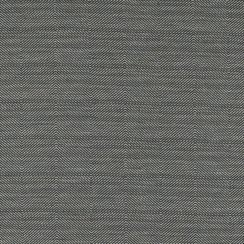 Clarke and Clarke Fabric F1633-1 Loki Charcoal