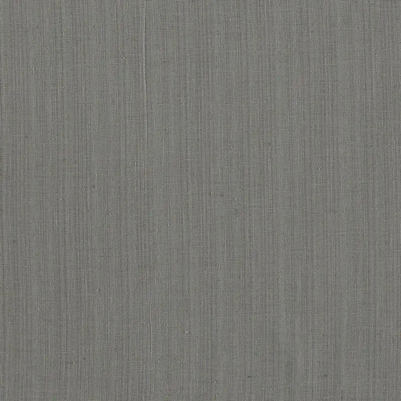 Clarke and Clarke Fabric F1665-2 Remo Charcoal