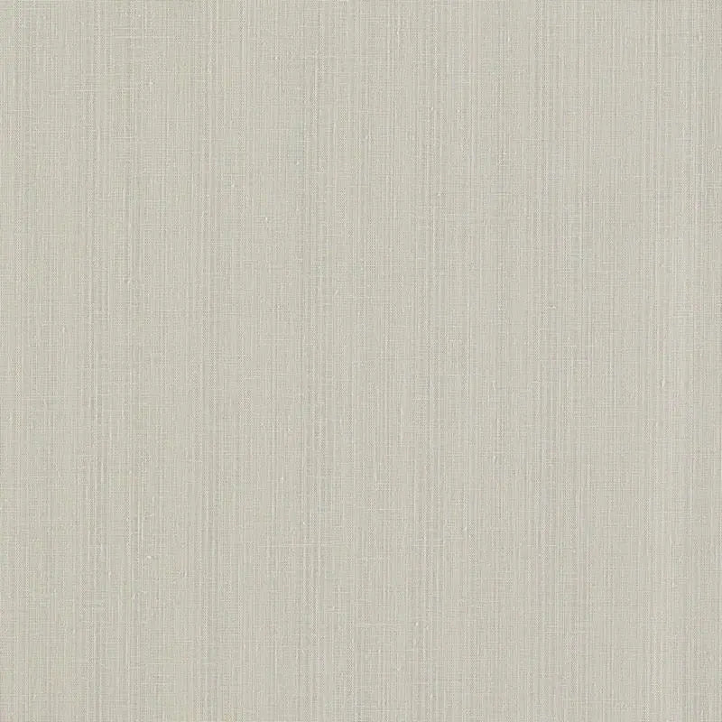 Clarke and Clarke Fabric F1665-8 Remo Pebble