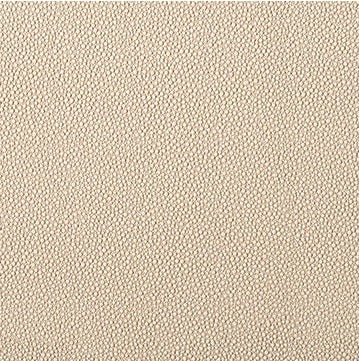 Kravet Contract Fabric FETCH.1606 Fetch Sandbar