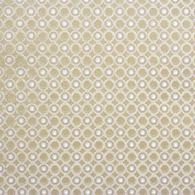 Groundworks Fabric GWF-2641.101 Pearl Beige/Snow