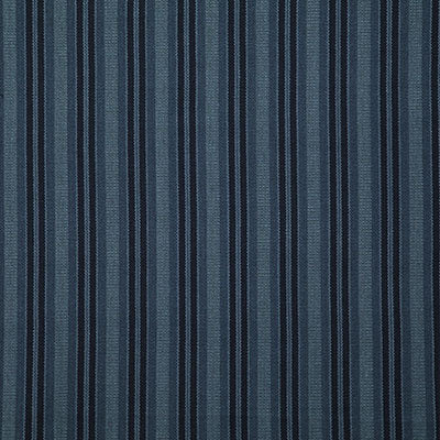 Pindler Fabric HES008-BL01 Hestia Indigo