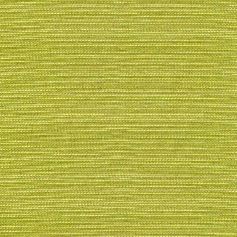 Kasmir Fabric Hilcrst Plain Io Frond