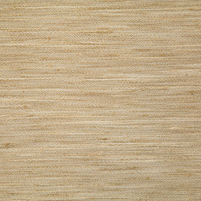 Pindler Fabric HIM003-BG05 Himalaya Tussah