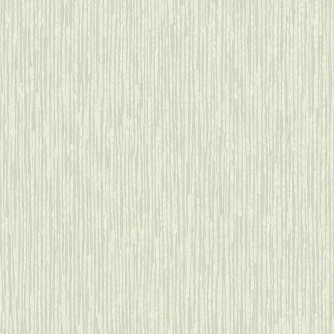 York HO2136 Feather Fletch Wallpaper