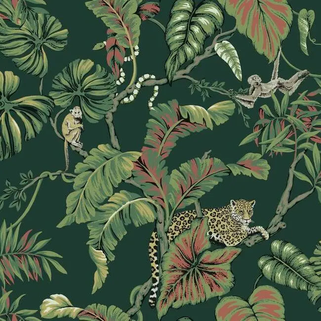 York HO2146 Jungle Cat Wallpaper