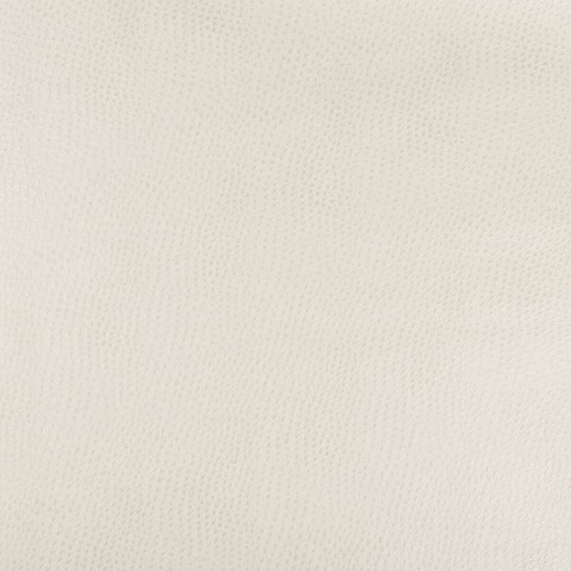 Fabric HUBBLE.111 Kravet Design by