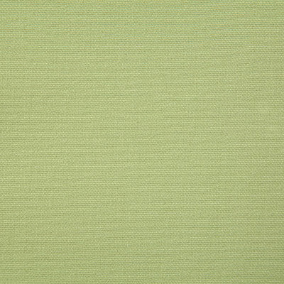 Pindler Fabric HUT007-GR09 Hutton Citron