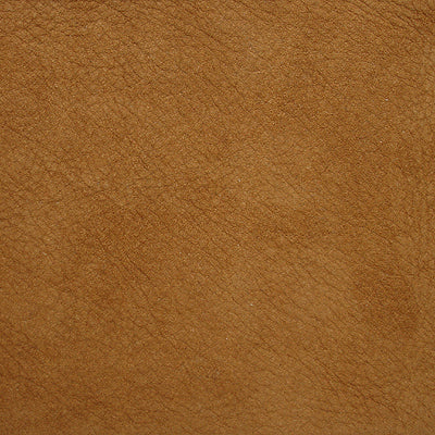 Fabric L-SAGUARO.SAND Kravet Design L-Saguaro-Sand by