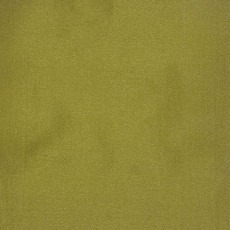 Scalamandre Fabric LB 0219214C Dupioni Solids Vijayawada