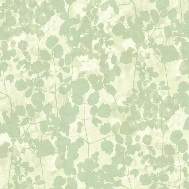 York Wallpaper NA0517 Pressed Leaves