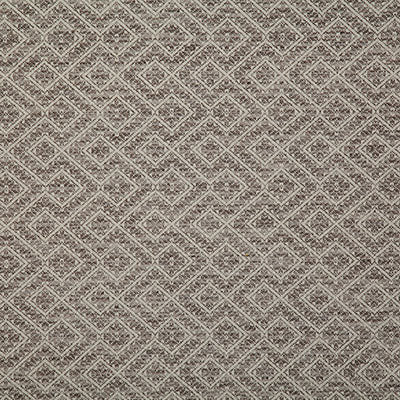 Pindler Fabric NET006-GY01 Netta Stone
