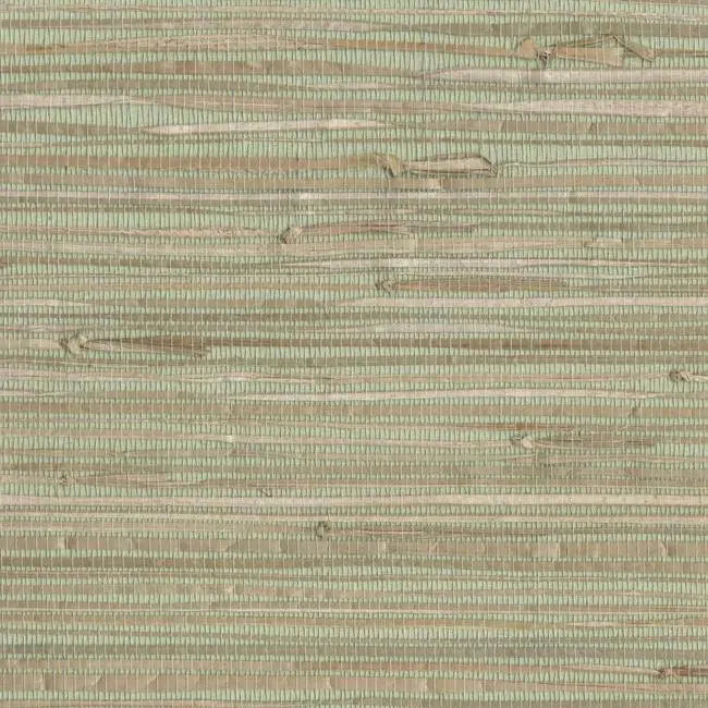 York NZ0780 Sea Grass Wallpaper