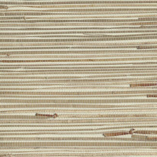York NZ0781 Sea Grass Wallpaper