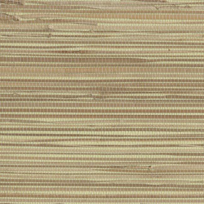 York NZ0787 River Grass Wallpaper