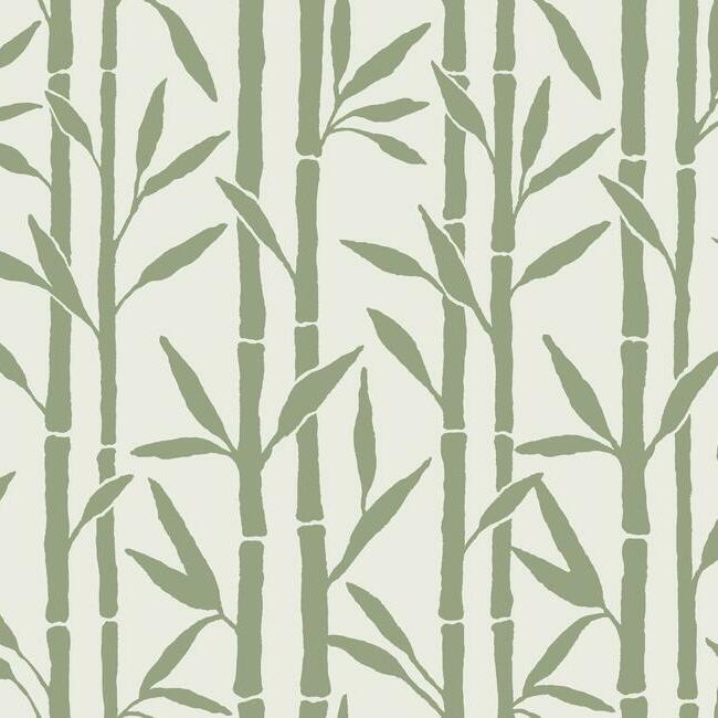 York Wallpaper OG0608 Bamboo Grove