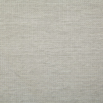 Pindler Fabric PAC013-GY05 Packwood Dove