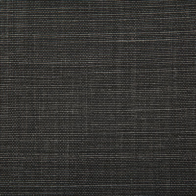 Pindler Fabric PAL068-BK01 Paloma Black