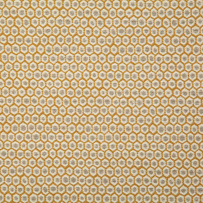 Pindler Fabric PAT034-YL01 Patio Golden