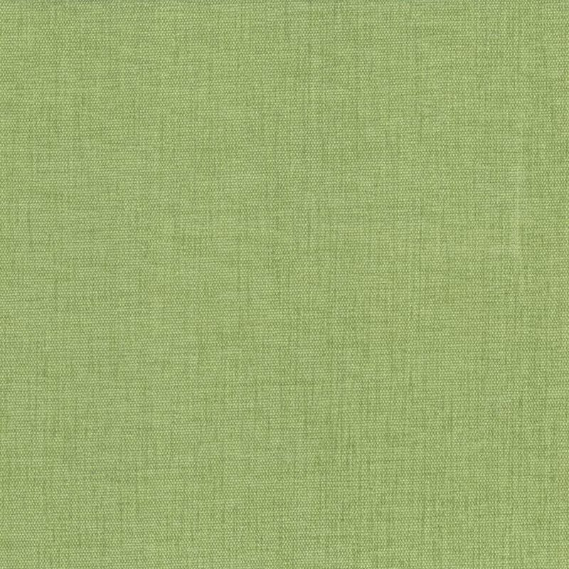 Kasmir Fabric Pinnacle Grass