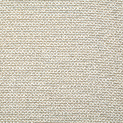 Pindler Fabric PLA021-BG01 Plaza Natural