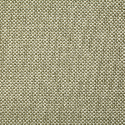 Pindler Fabric PLA021-GR01 Plaza Sage