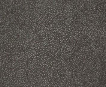 Maxwell Fabric PQ6021 Persuasion Pumpernickel