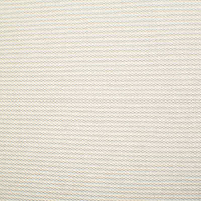 Pindler Fabric PRO025-WH01 Promenade Tusk