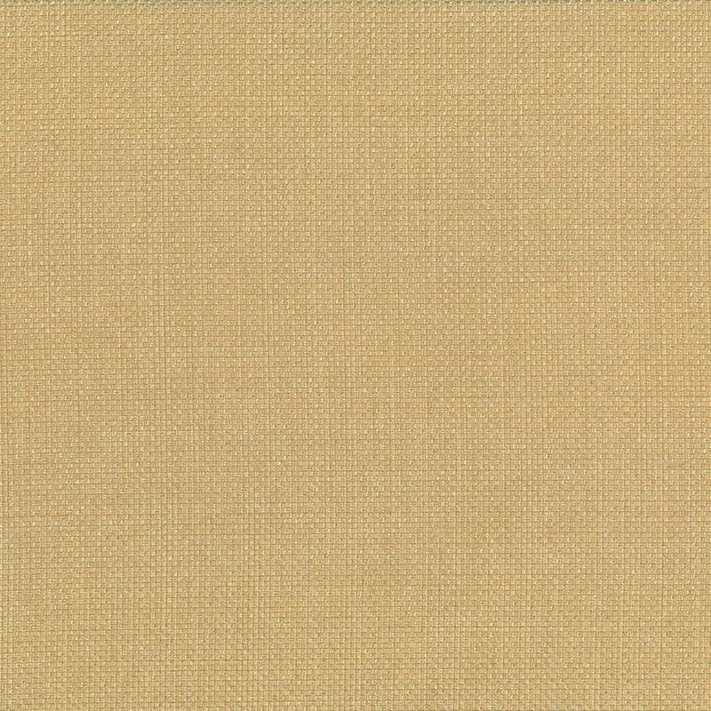 Kasmir Fabric Quartet Texture Gold