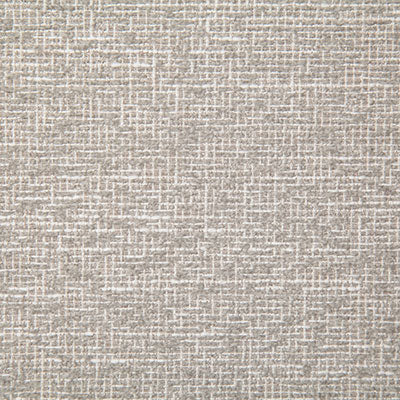 Pindler Fabric REE016-GY05 Reed Silver