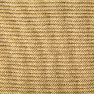 Pindler Fabric REE018-YL01 Reese Golden