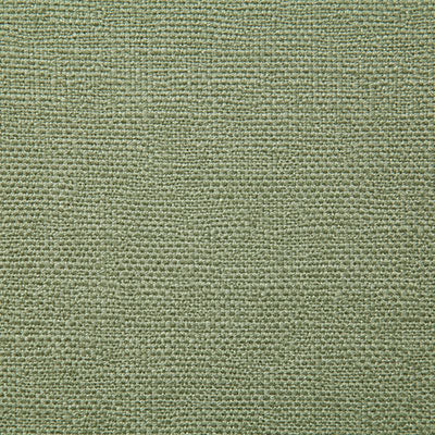 Pindler Fabric ROC039-GR01 Rocco Sage