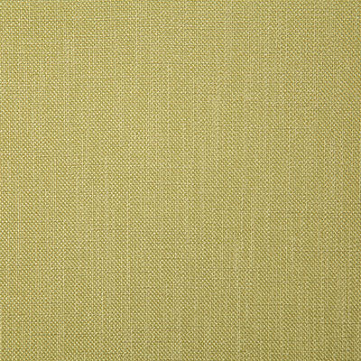 Pindler Fabric ROS058-GR16 Rosario Citrus