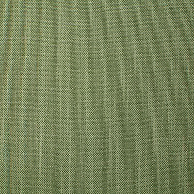 Pindler Fabric ROS058-GR20 Rosario Green