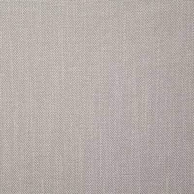Pindler Fabric ROS058-GY30 Rosario Pebble