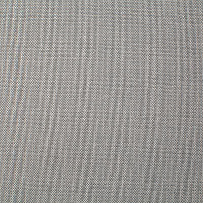Pindler Fabric ROS058-GY34 Rosario Pumice