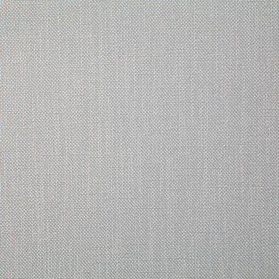 Pindler Fabric ROS058-GY46 Rosario Shale