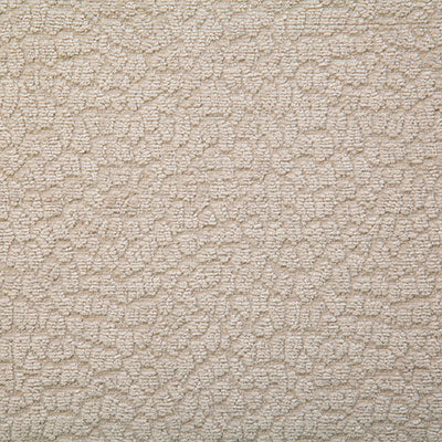 Pindler Fabric ROS078-BG09 Roscoe Sand