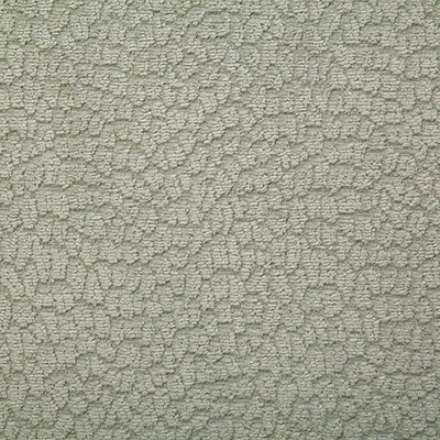 Pindler Fabric ROS078-GR05 Roscoe Sage
