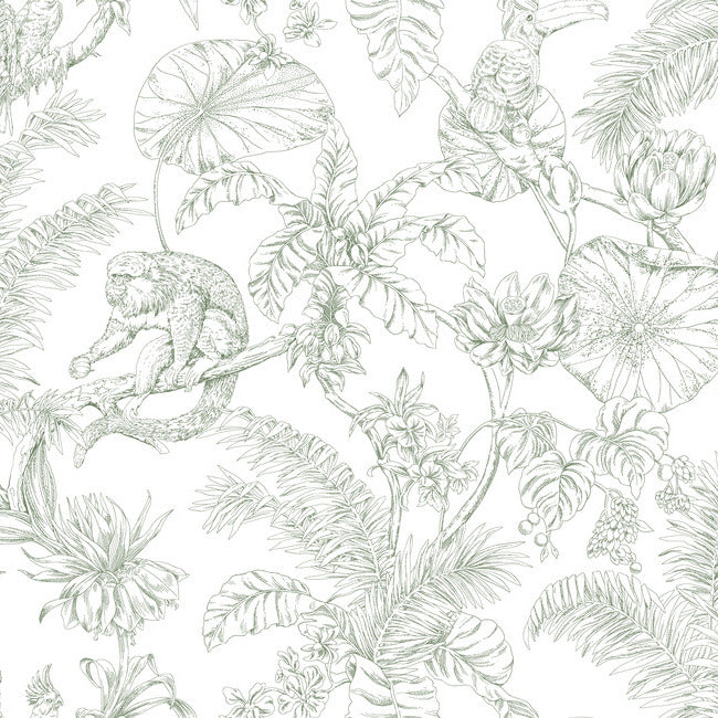 York RT7842 Forest Tropical Sketch Toile Wallpaper