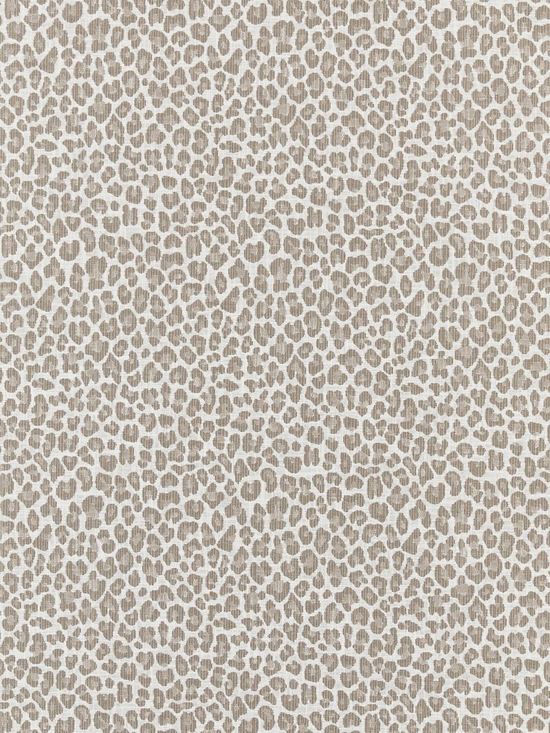 Scalamandre Fabric SC 000127316 Backyard Bengal Limestone