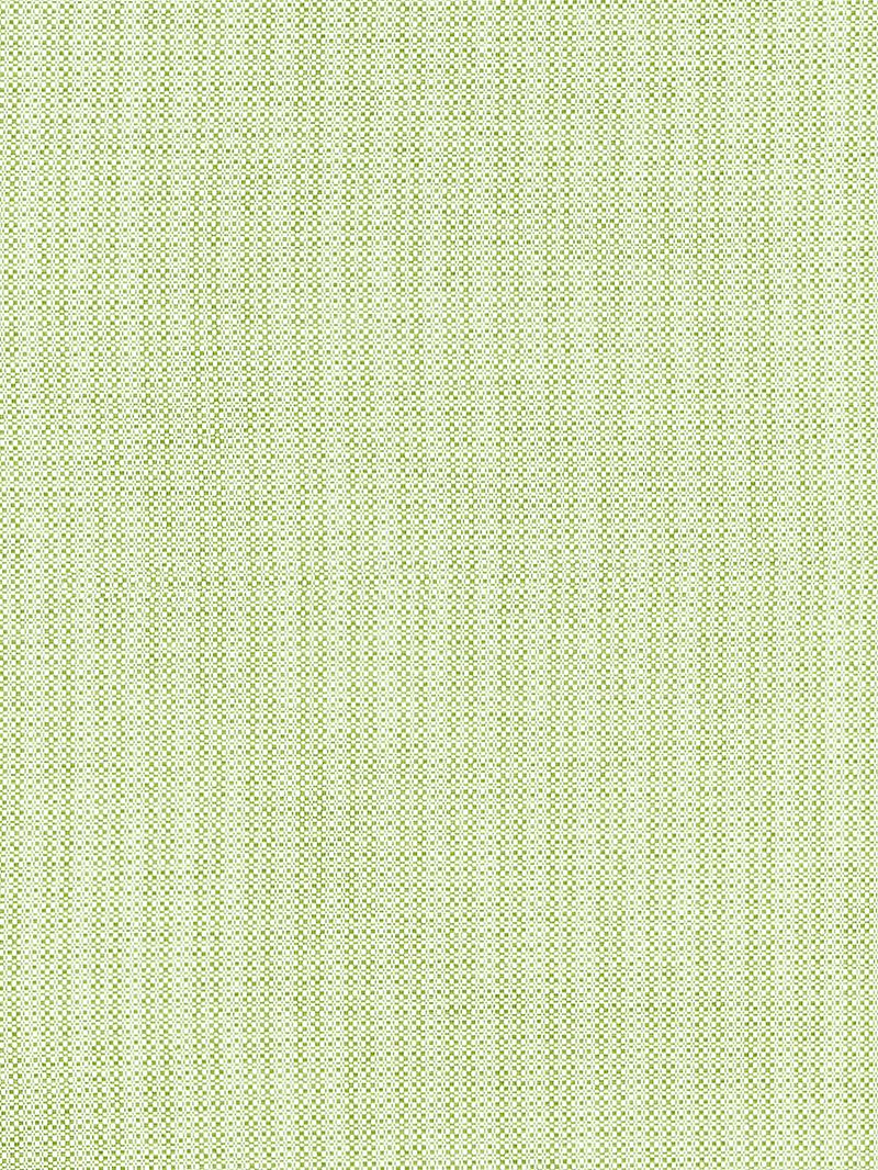 Scalamandre Fabric SC 000227192 Tahiti Tweed Palm