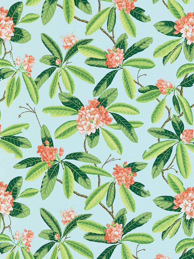 Scalamandre Fabric SC 000316454M Rhododendron - Outdoor Coral On Aqua