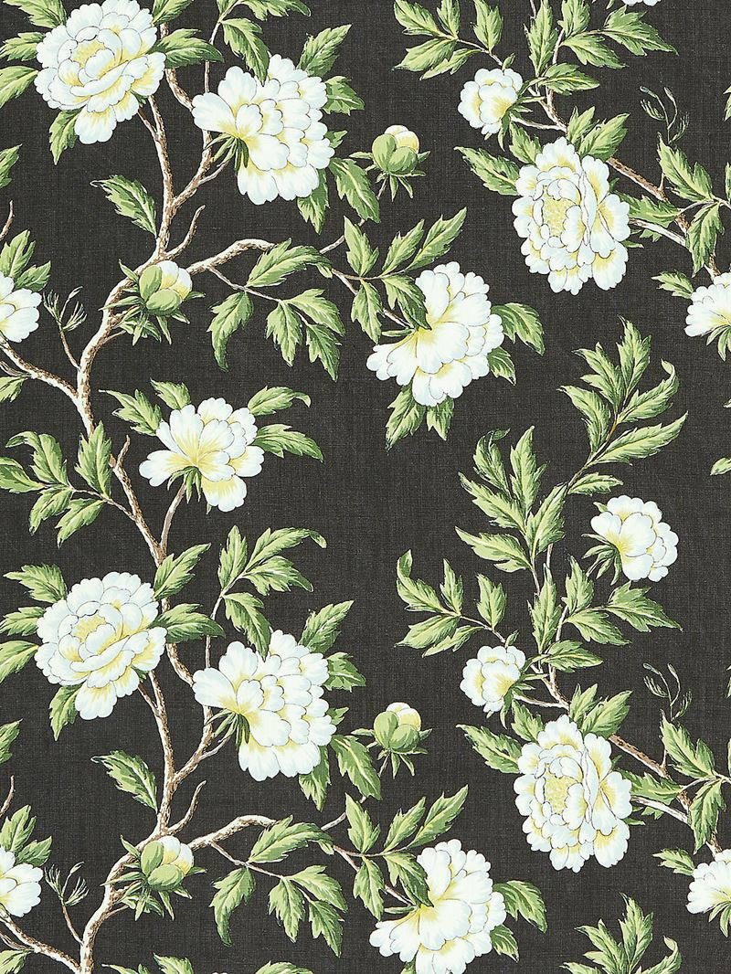 Scalamandre Fabric SC 000316616 Peonia Linen Print Onyx