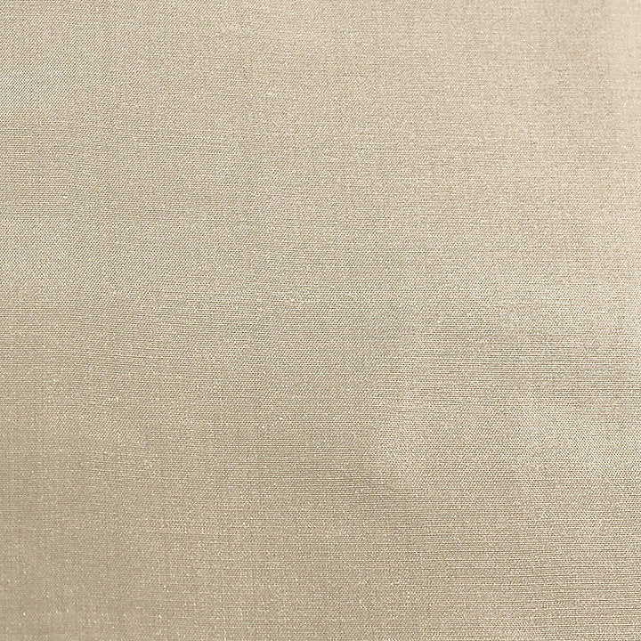 Scalamandre Fabric SC 001436383 Dynasty Taffeta Putty