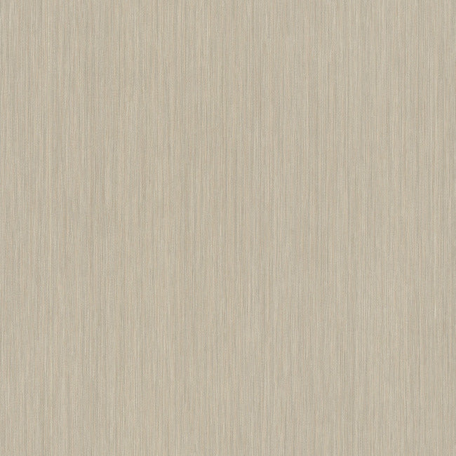 York SI24617 Sand Soft Rain Wallpaper