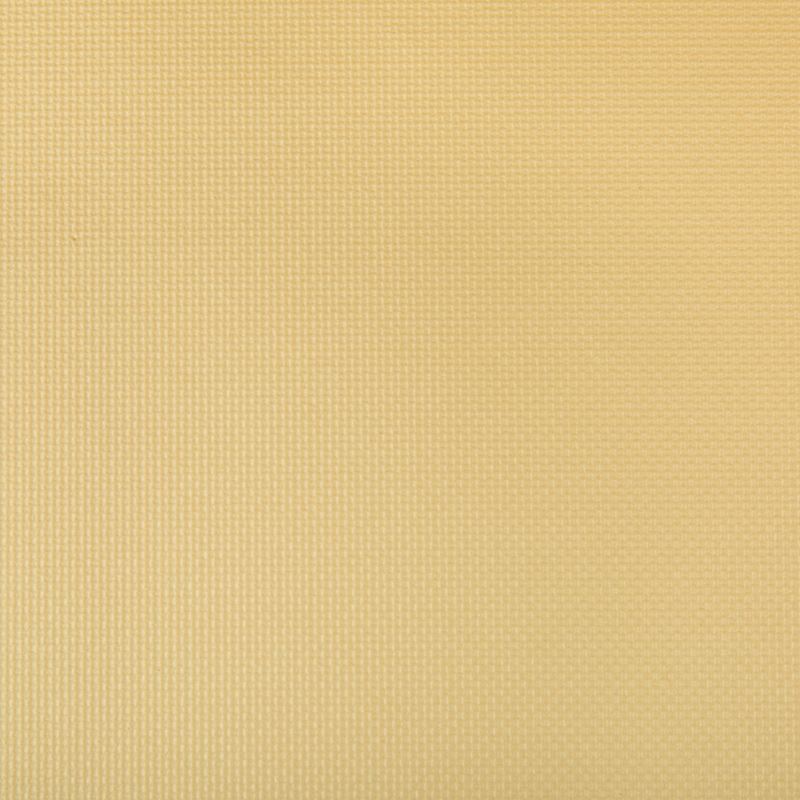 Kravet Contract Fabric SIDNEY.14 Sidney Soft Gold