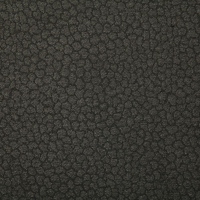 Pindler Fabric SPO105-GY05 Spots Charcoal